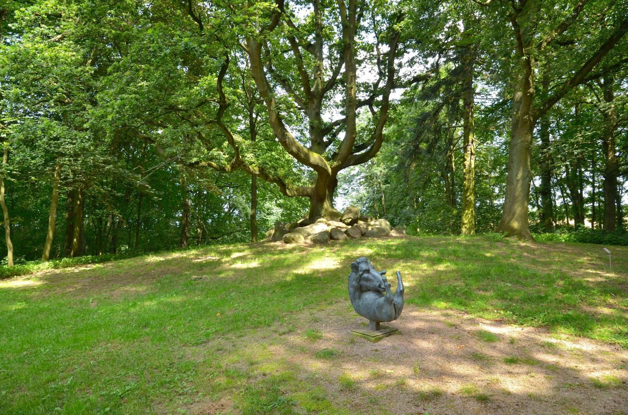 Jagdschloss Zu Hohen Niendorf Fewo 7 Esterno foto